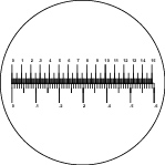 English/Metric Line Scale